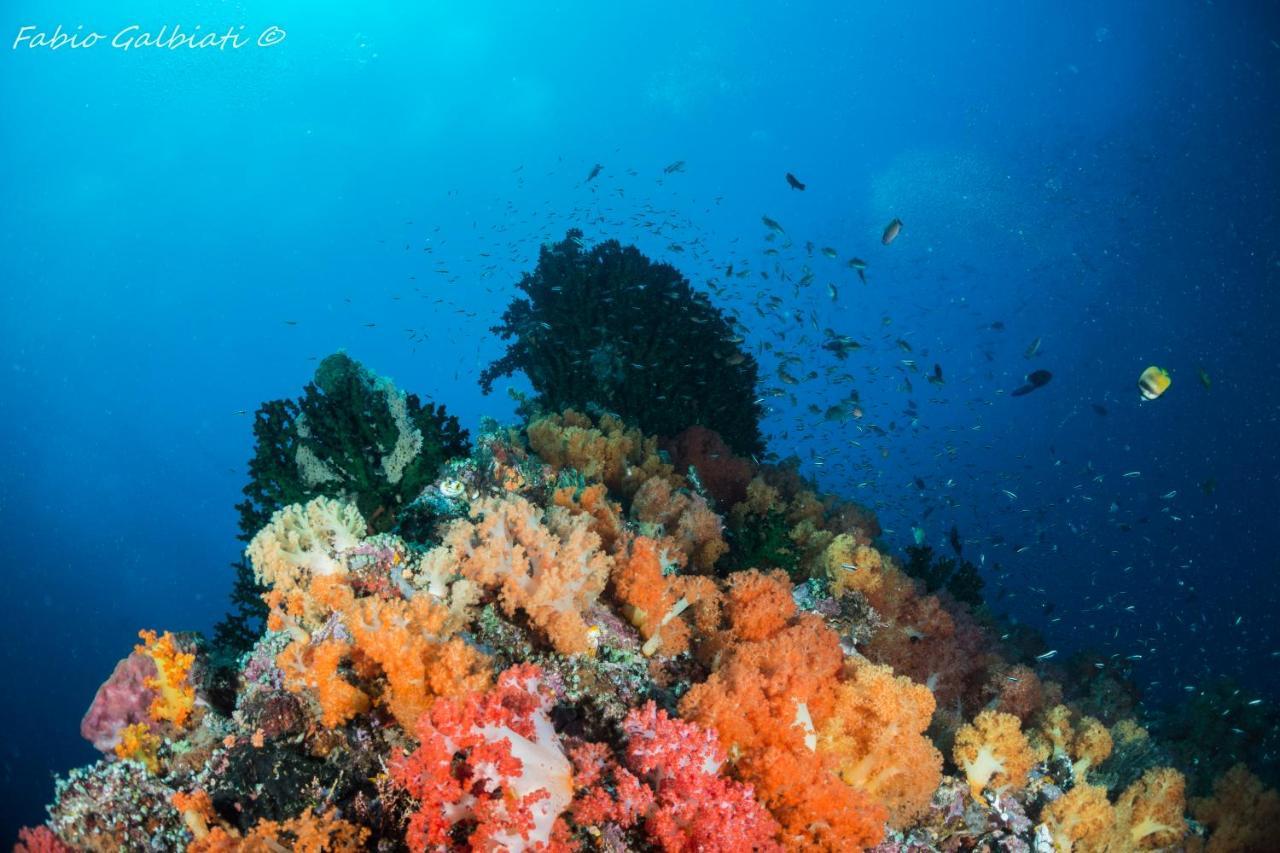Coral Eye Boutique Resort And Marine Outpost Likupang Extérieur photo