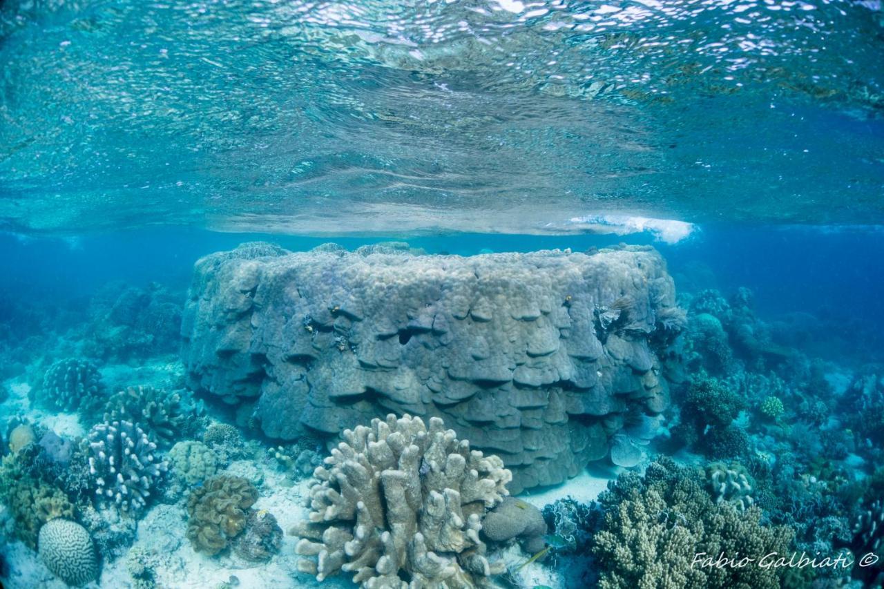 Coral Eye Boutique Resort And Marine Outpost Likupang Extérieur photo